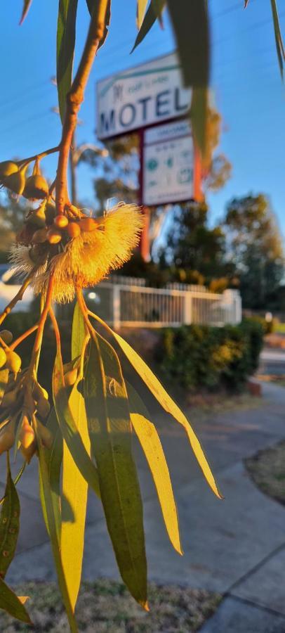 Golf Links Motel Tamworth Luaran gambar